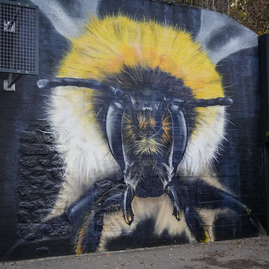 Insekten-Makrofotografie