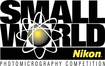 Nikon Small World 2021