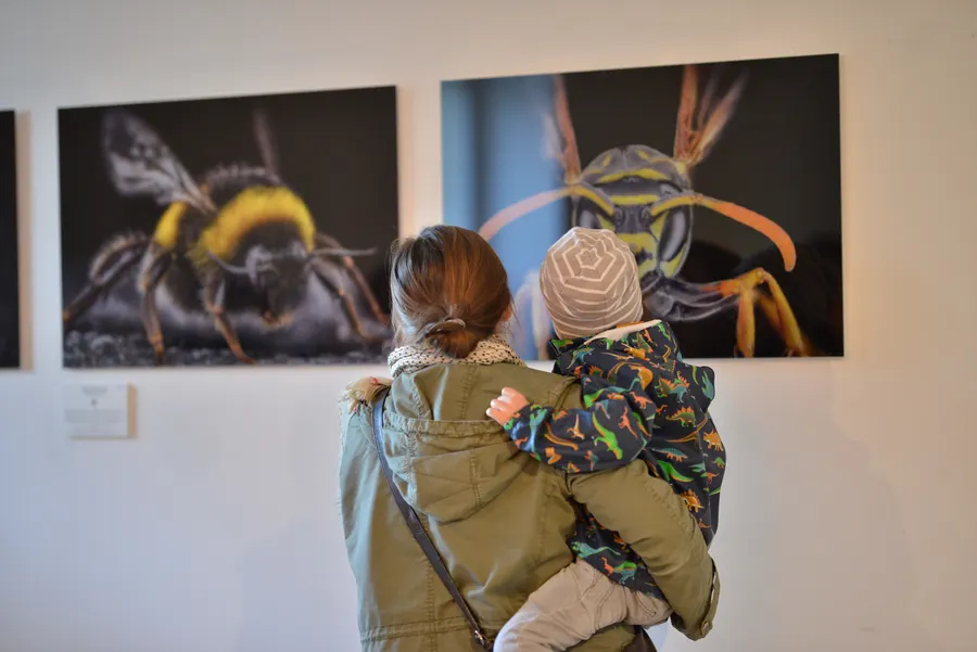 Insekten-Makrofotografie