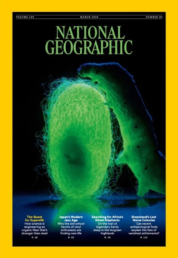 Titelseite National Geographic – Titel „The Quest for Supersilk“ · National Geographic, Washington D.C., USA