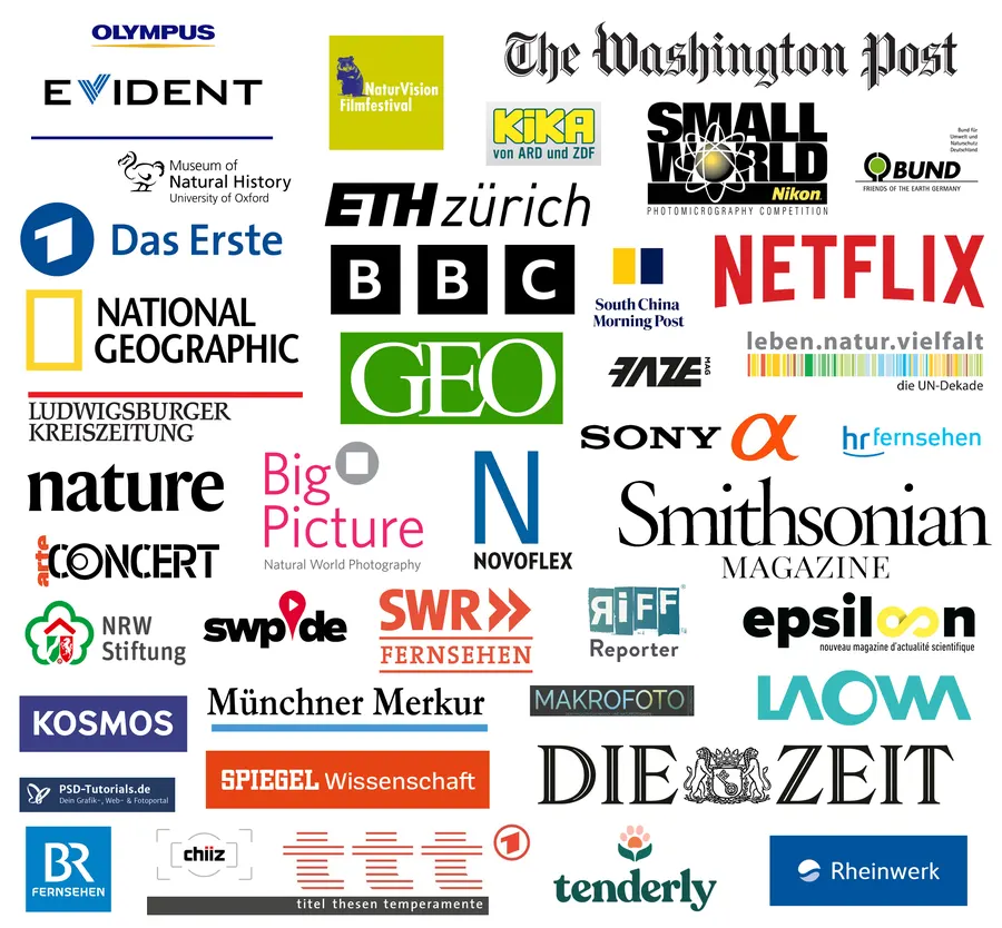 Image placements